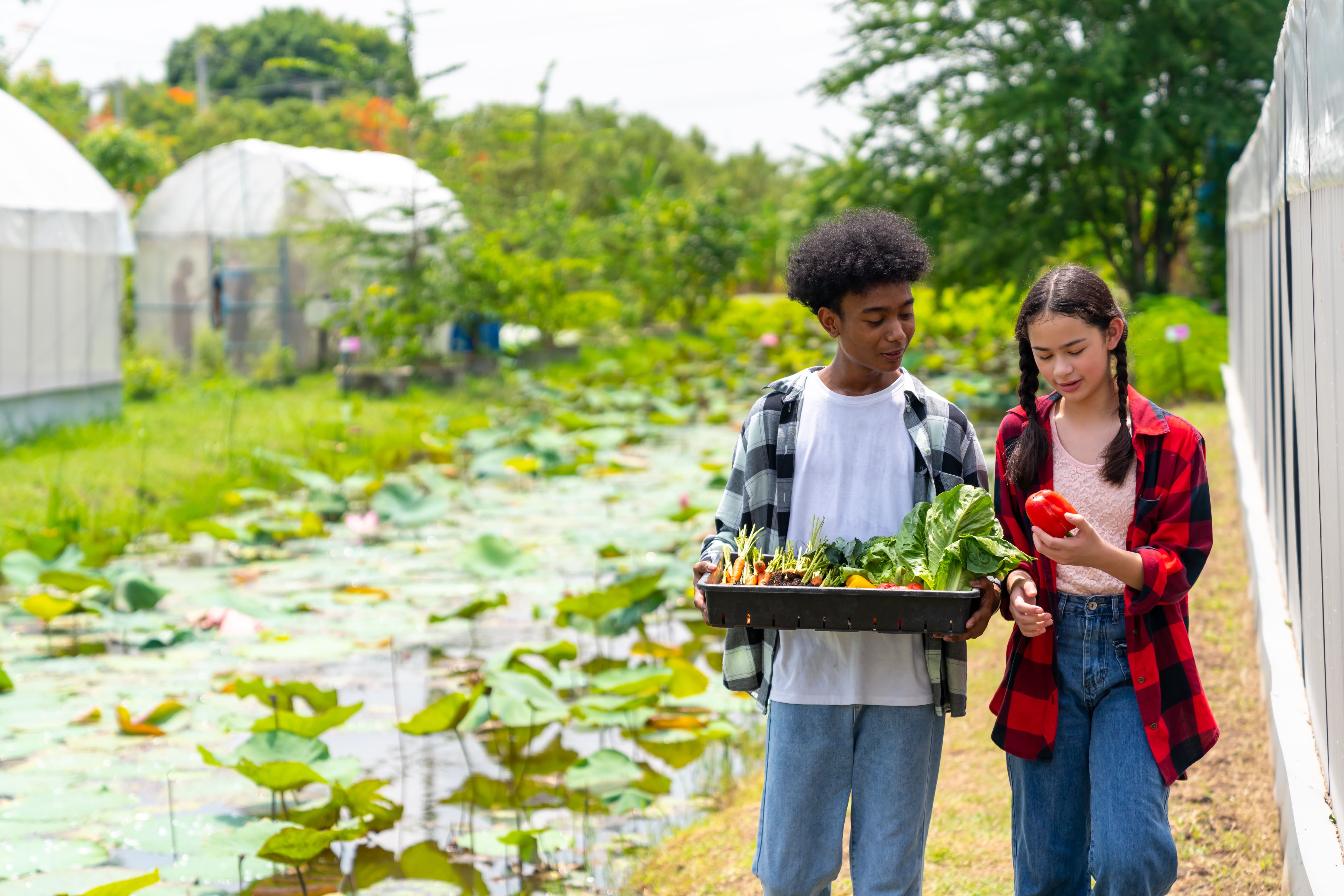 biología y ambiente 