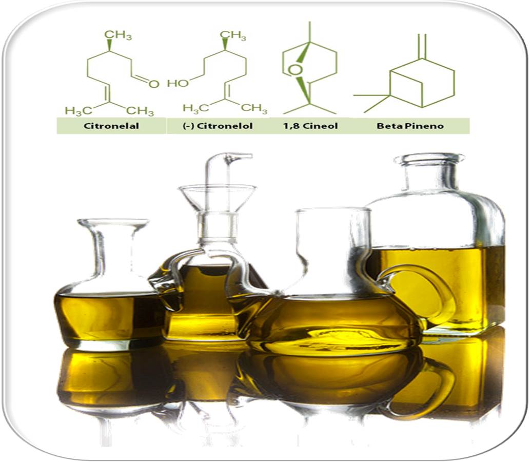 Aceites esenciales y moléculas de mediano peso molecular