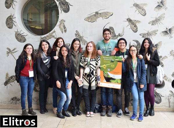 Semillero de investigación en Entomología