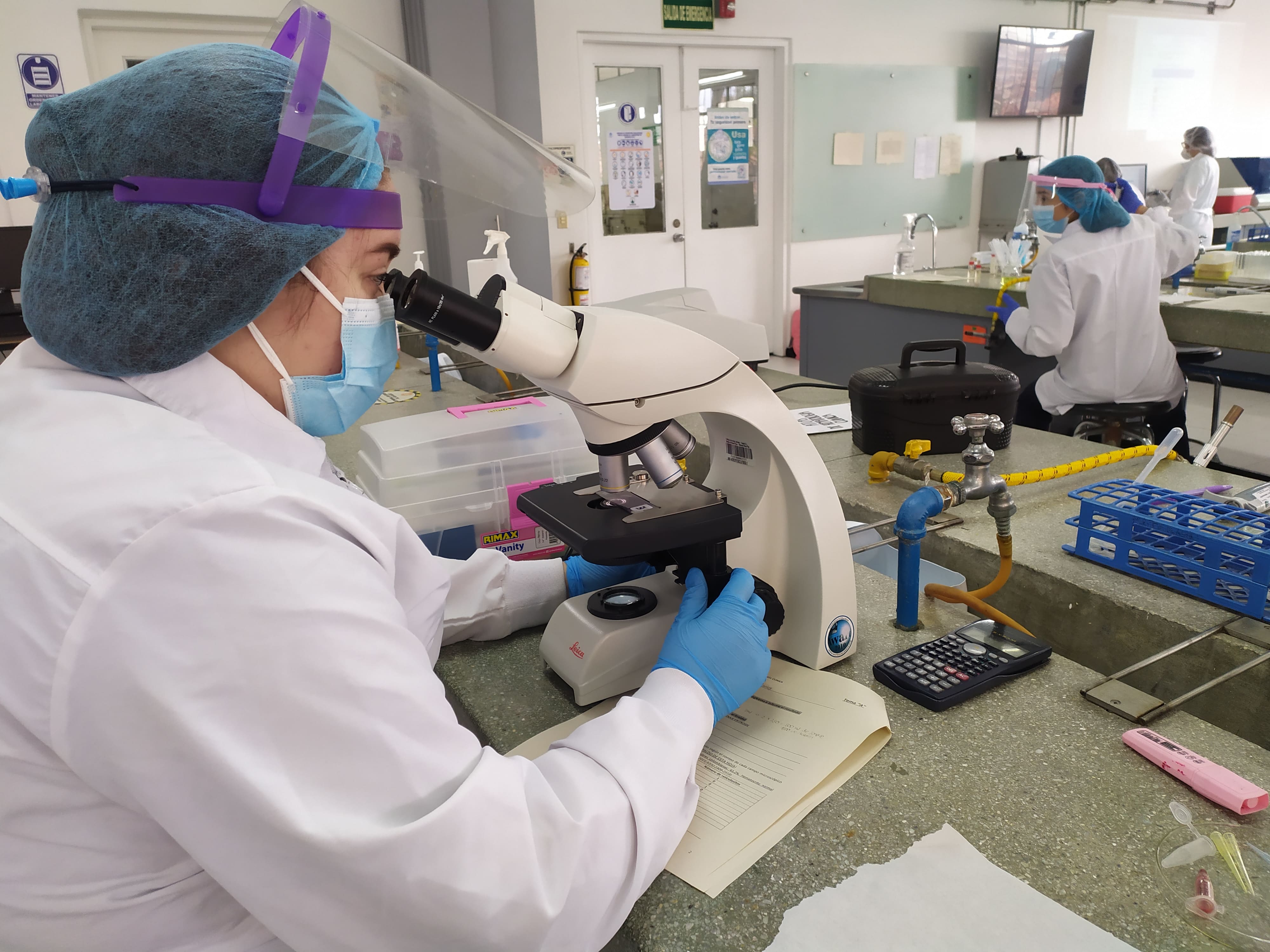 Semilleros en Biofísica y Fisiología de Canales iónicos