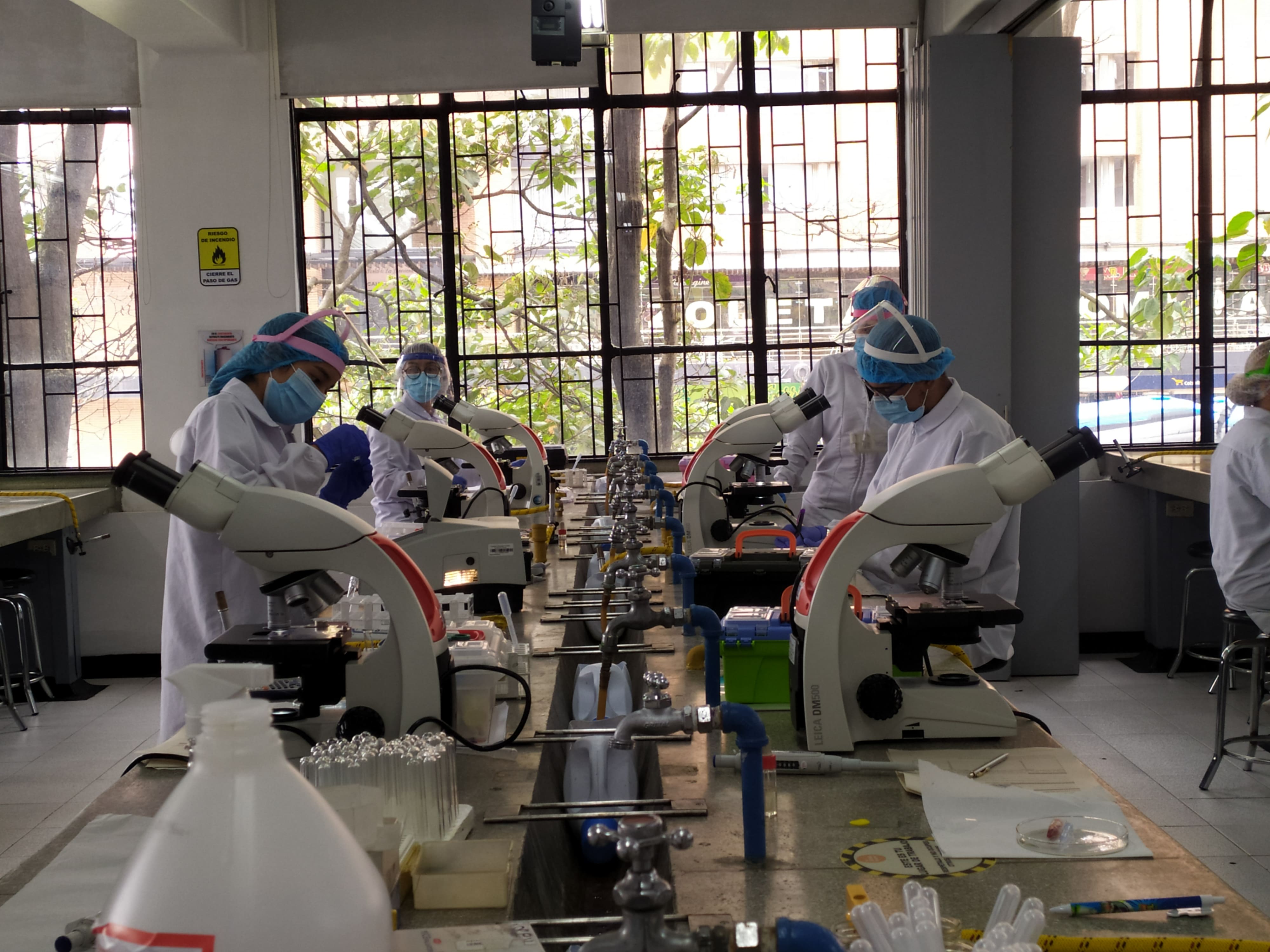 Semillero en Neurociencia Computacional y Bioinformática