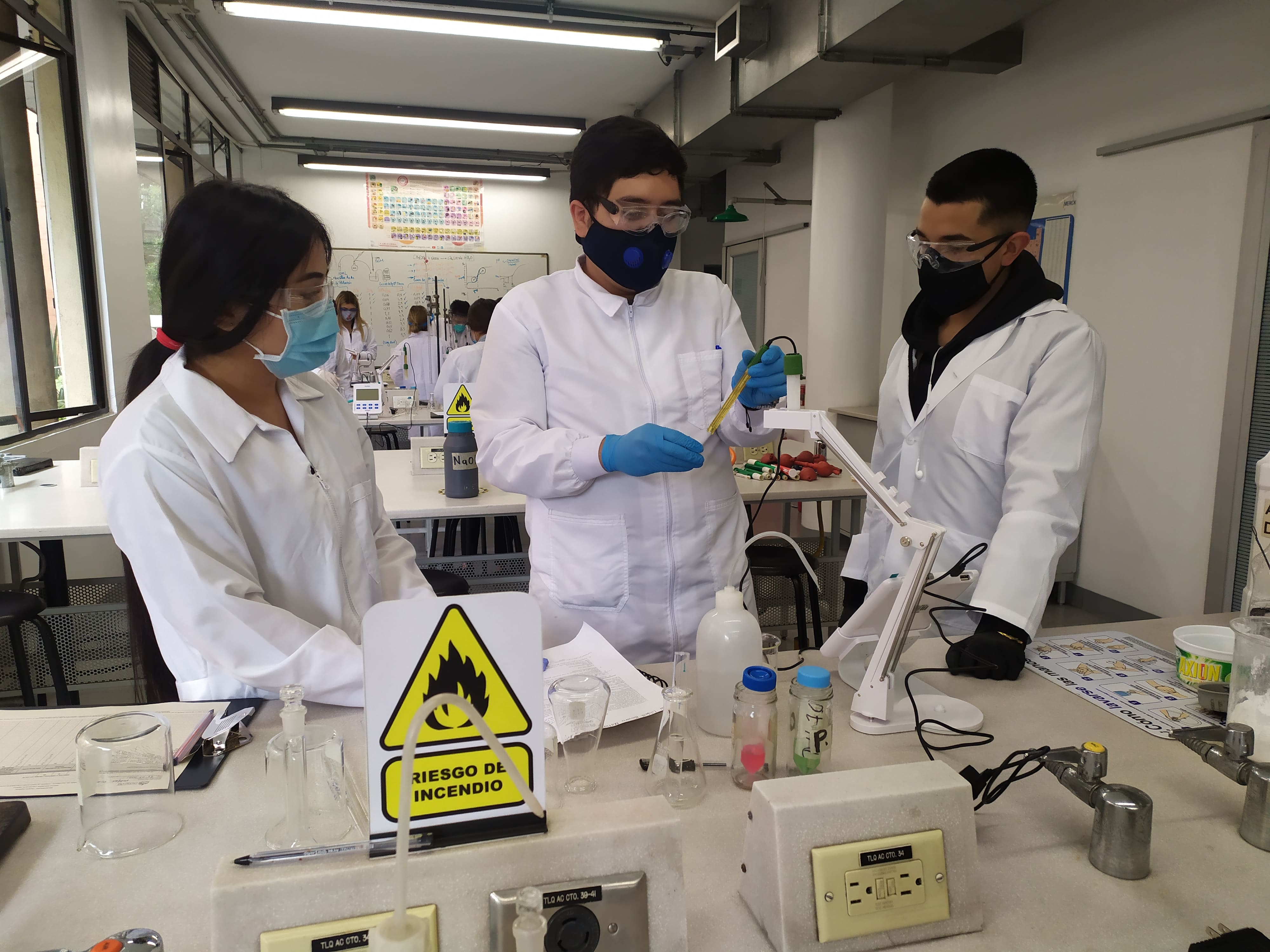 Semillero Fisiología Y Regulación De Sistemas Biológicos
