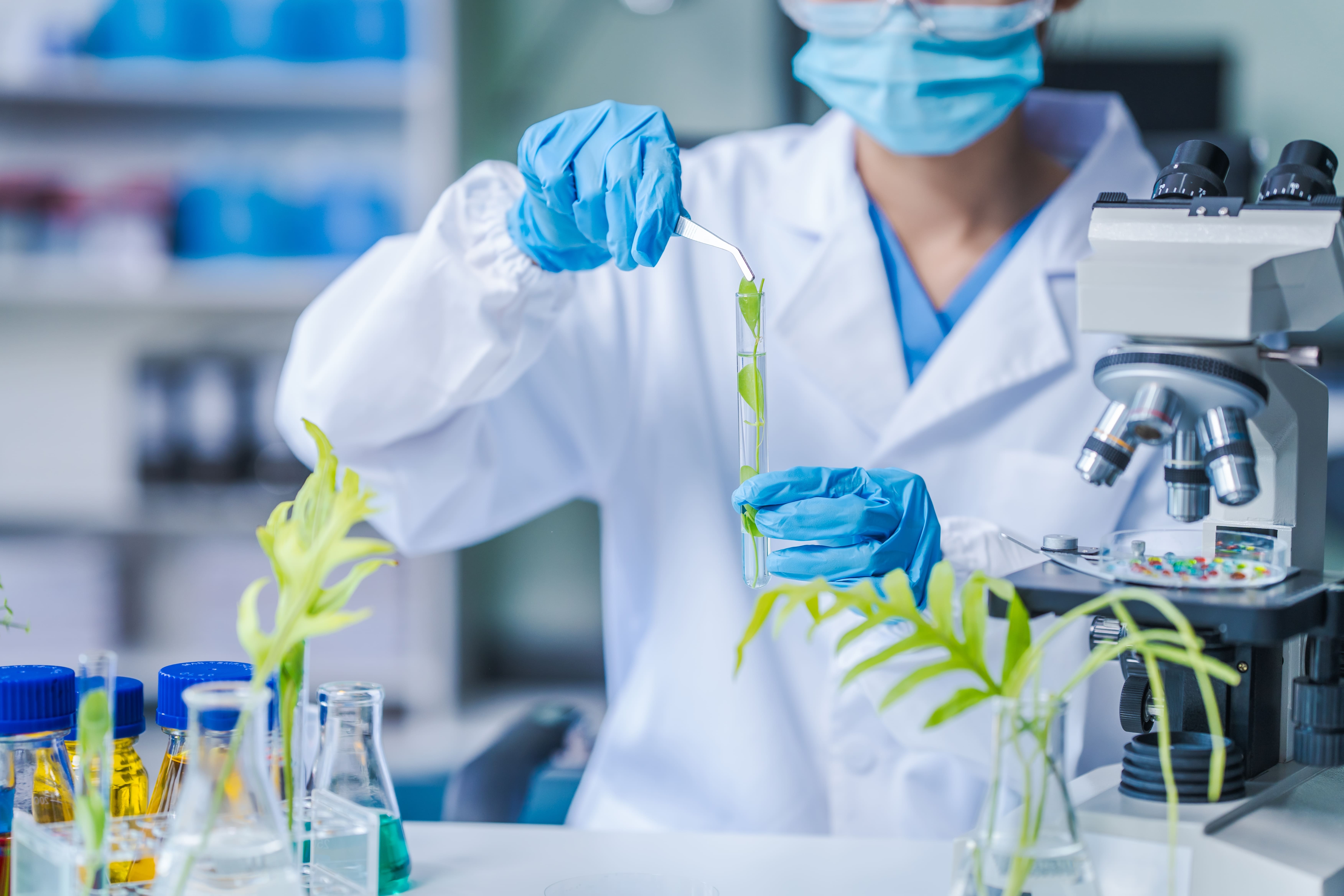 estudiar-biologia