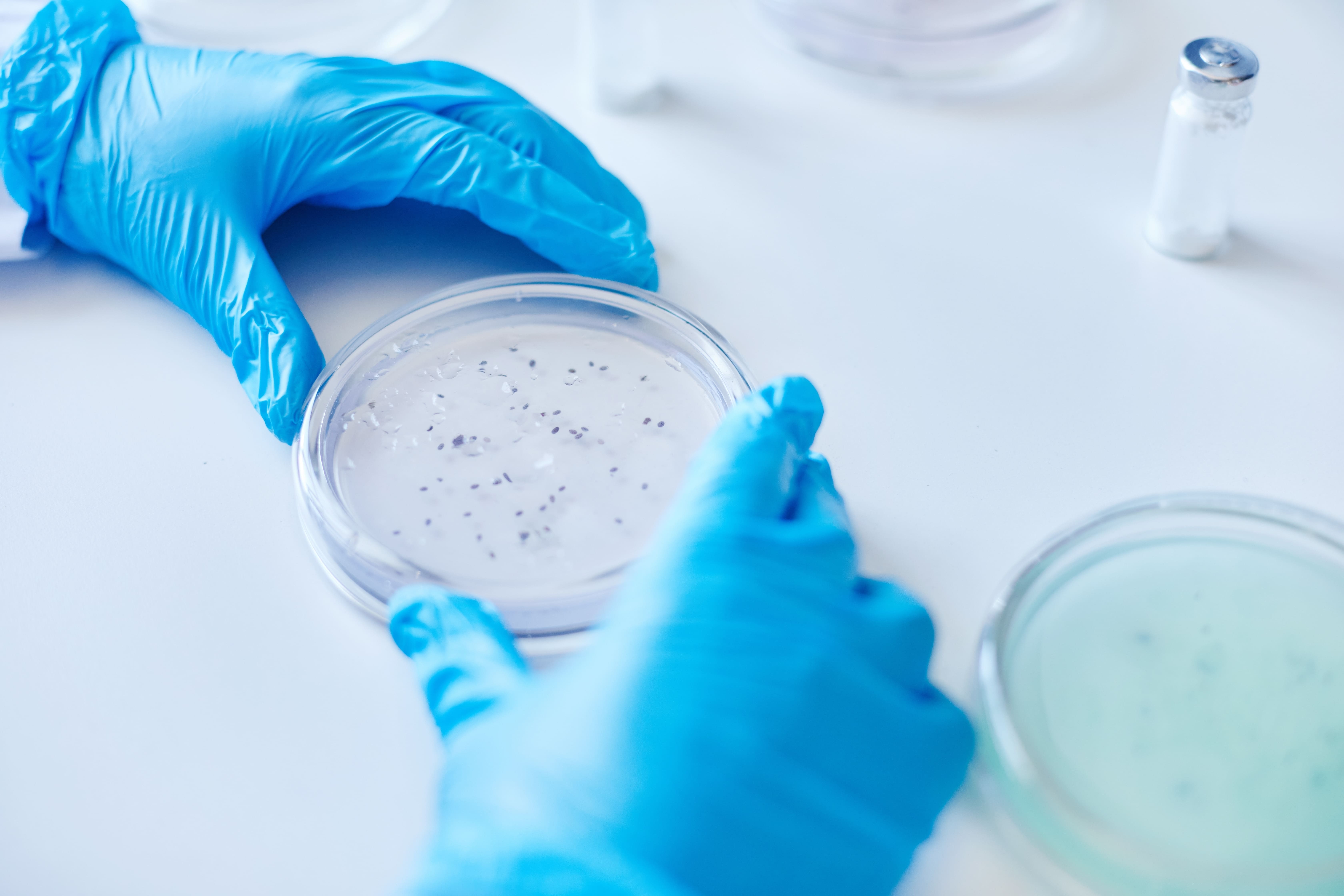 microbiologia-industrial-en-la-javeriana